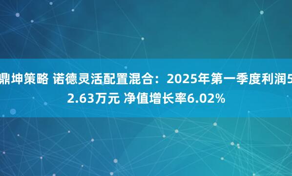 鼎坤策略 诺德灵活配置混合：2025年第一季度利润52.63万元 净值增长率6.02%